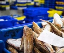 新大陸N7-CS專業(yè)冷鏈移動數據終端應用.png 新大陸N7-CS專業(yè)冷鏈移動數據終端應用.png